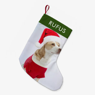 Petite Chaussette De Noël Chien Paw Thème Personnalisé Photo de Noël
