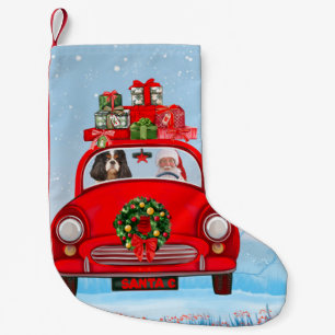 Petite Chaussette De Noël Chien Roi Cavalier En Voiture Avec Le Père Noël