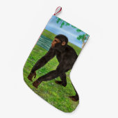 Petite Chaussette De Noël Chimpanzé (Devant (Accrochage))