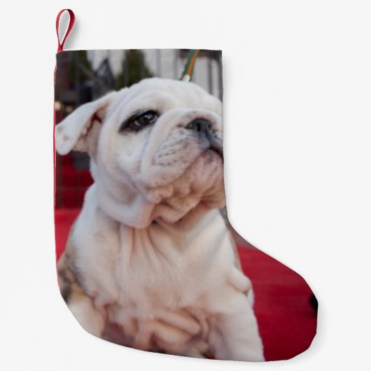 Petite Chaussette De Noël Chiot (Devant)