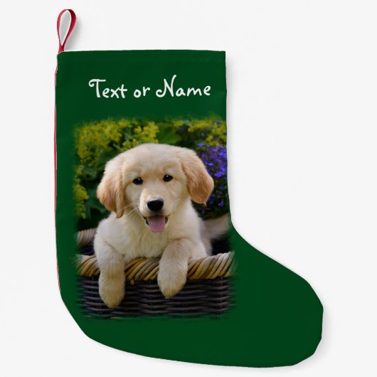 Petite Chaussette De Noël Chiot de charme de chien de chien d'arrêt de (Devant)