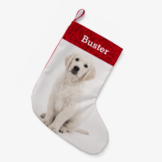 Petite Chaussette De Noël Chiot de golden retriever de nom d'animal (Devant (Accrochage))