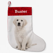Petite Chaussette De Noël Chiot de golden retriever de nom d'animal (Devant)