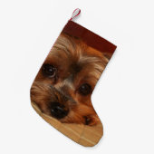 Petite Chaussette De Noël Chiot mignon de Yorkshire Terrier (Devant (Accrochage))