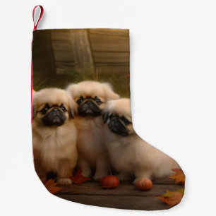 Petite Chaussette De Noël Chiots Pékinois Délice d'Automne Citrouille 
