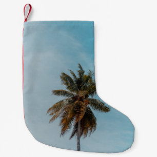 Petite Chaussette De Noël Cocotier vert sous ciel bleu