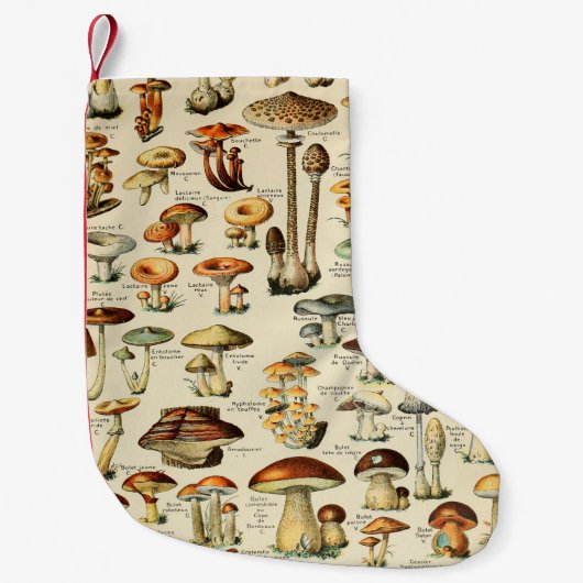 Petite Chaussette De Noël Collection de champignons  (Devant)