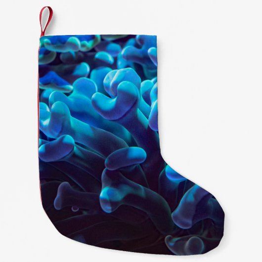 Petite Chaussette De Noël Corail bleu (Devant)