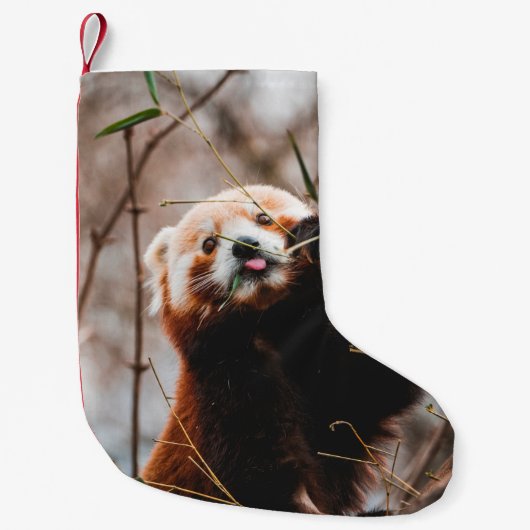 PETITE CHAUSSETTE DE NOËL CUTE KOALA BEAR (Devant)