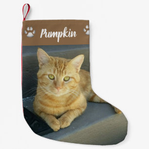 Petite Chaussette De Noël Cute Tabby Chat Personnalisé Animaux de compagnie