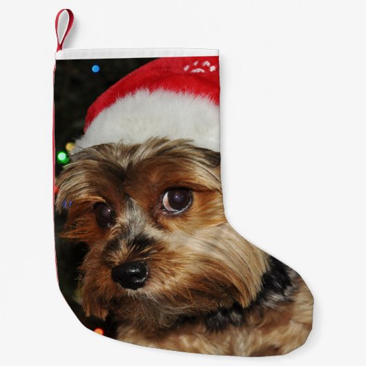 Petite Chaussette De Noël Cute Yorkshire Terrier avec Santa Hat (Devant)