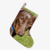 Petite Chaussette De Noël Dachshund (Devant (Accrochage))