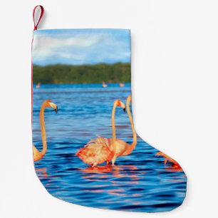 Petite Chaussette De Noël Des hordes de beaux flamants roses dans les Celest