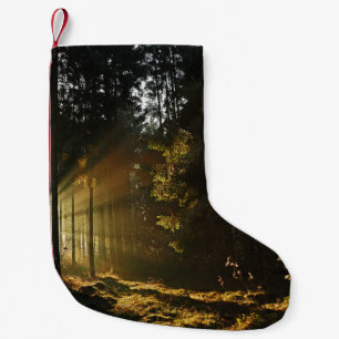 PETITE CHAUSSETTE DE NOËL DES RAYONS SOLEIL PIERÇANT À TRAVERS DES ARBRES
