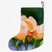 Petite Chaussette De Noël désir déployé (Dos)