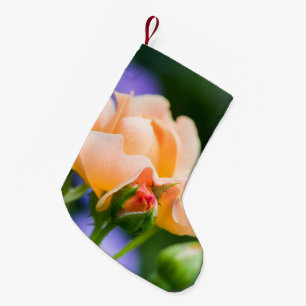 Petite Chaussette De Noël désir déployé