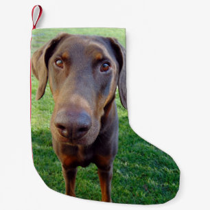 Petite Chaussette De Noël Dobermann rouge