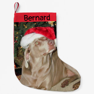 Petite Chaussette De Noël Dog Weimaraner mignon - Personnalisé