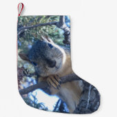 Petite Chaussette De Noël Écureuil dans l'arbre - (Devant)