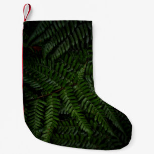Petite Chaussette De Noël Fern plante