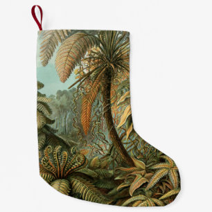 Petite Chaussette De Noël Ferns Palm Tree Antiquité Botanique Ferns Art