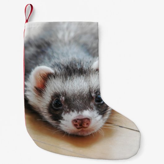 Petite Chaussette De Noël Ferret Cute Sable (Devant)