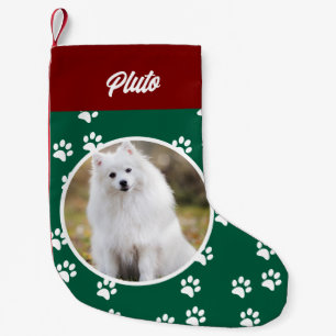 Petite Chaussette De Noël Festive mignonne chien animal de compagnie photo