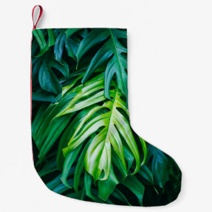 Petite Chaussette De Noël Feuilles verts tropicaux sur arrière - plan sombre