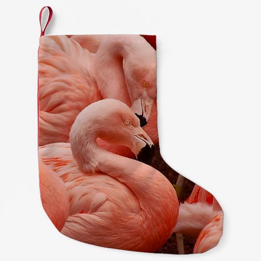 Petite Chaussette De Noël Flamant rose (Devant)