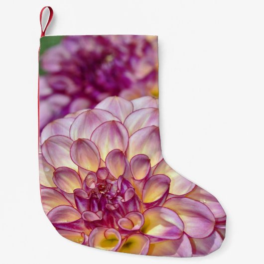 Petite Chaussette De Noël Fleur rose dahlia (Devant)