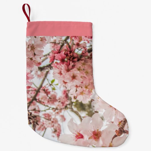 Petite Chaussette De Noël Fleurs de cerisier assez roses - (Devant)