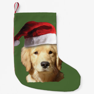 Petite Chaussette De Noël Golden Retriever de Noël