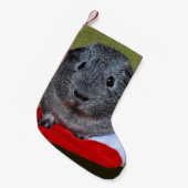 Petite Chaussette De Noël Guinea Pig Christmas (Devant (Accrochage))