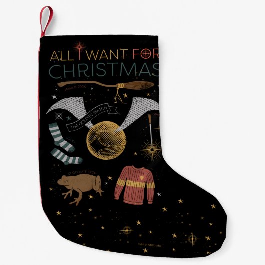 Petite Chaussette De Noël HARRY POTTER™ Tout ce que je veux pour Noël (Devant)