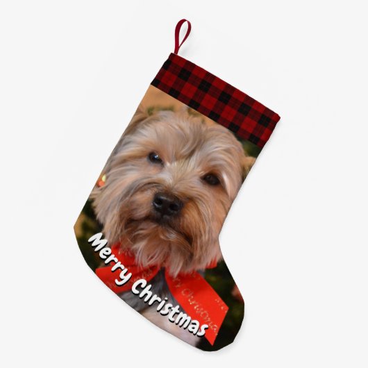 PETITE CHAUSSETTE DE NOËL HEUREUX CHIEN XMAS YAPPY (Devant (Accrochage))