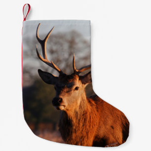 PETITE CHAUSSETTE DE NOËL HI DEER