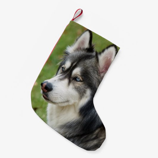 Petite Chaussette De Noël Husky (Devant (Accrochage))