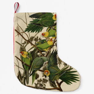 Petite Chaussette De Noël Illustration Audubon Carolina Parrot Bird