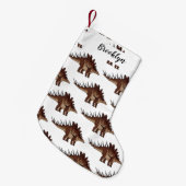 Petite Chaussette De Noël Illustration de Kentrosaurus (Devant (Accrochage))