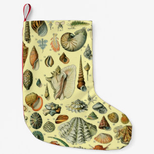 Petite Chaussette De Noël Impression vintage de coquillages d'Adolphe Millot