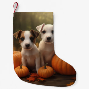 Petite Chaussette De Noël Jack Russell chiot Autumn Delight Citrouille