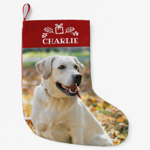 Petite Chaussette De Noël Joli petit chien photo personnalisé Noël
