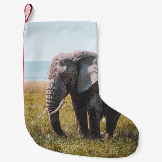 PETITE CHAUSSETTE DE NOËL JOLIMENT ÉLÉPHANT (Devant)