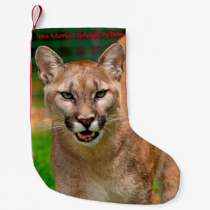 Petite Chaussette De Noël Joyeux Noël parfait