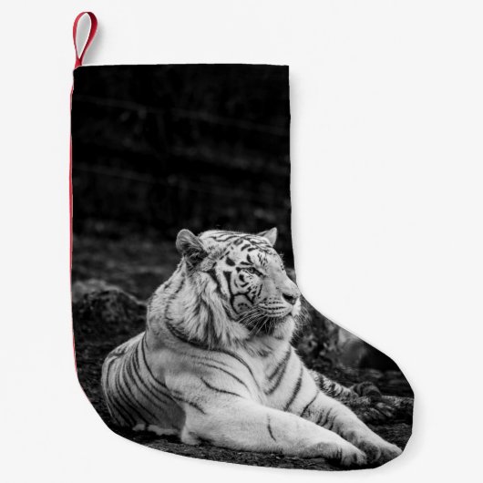 PETITE CHAUSSETTE DE NOËL LA PENSÉE DU TIGRE (Devant)