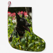 Petite Chaussette De Noël Le berger allemand dans un champ (Devant)