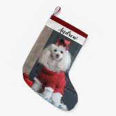 Petite Chaussette De Noël Le chien de caniche Noël Réservation (Devant (Accrochage))