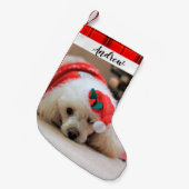 Petite Chaussette De Noël Le chien de caniche Noël Réservation (Devant (Accrochage))