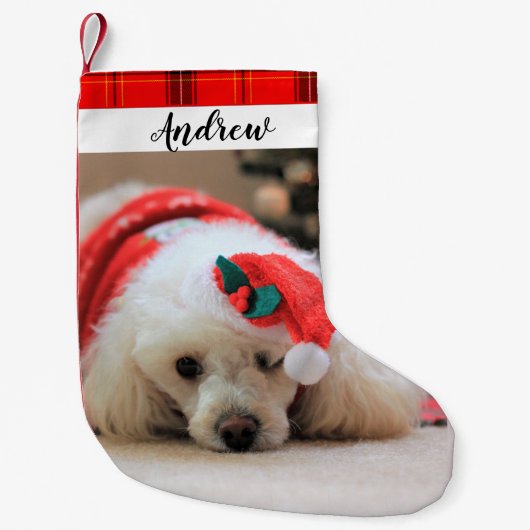 Petite Chaussette De Noël Le chien de caniche Noël Réservation (Devant)