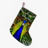 Petite Chaussette De Noël Le Dreamcatcher de Peacock (Devant (Accrochage))